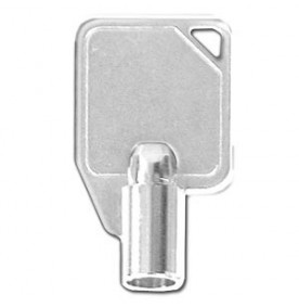 Clé Pointeuse Seiko